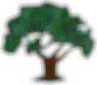 Arbre gnalogique