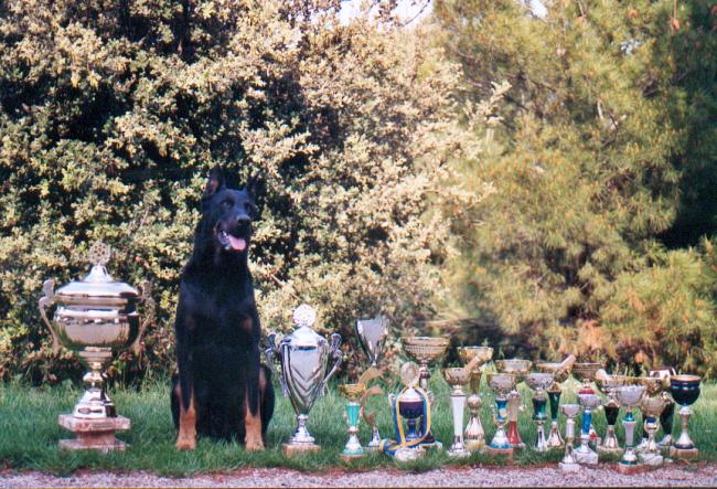 Tho et certains de ses trophes
